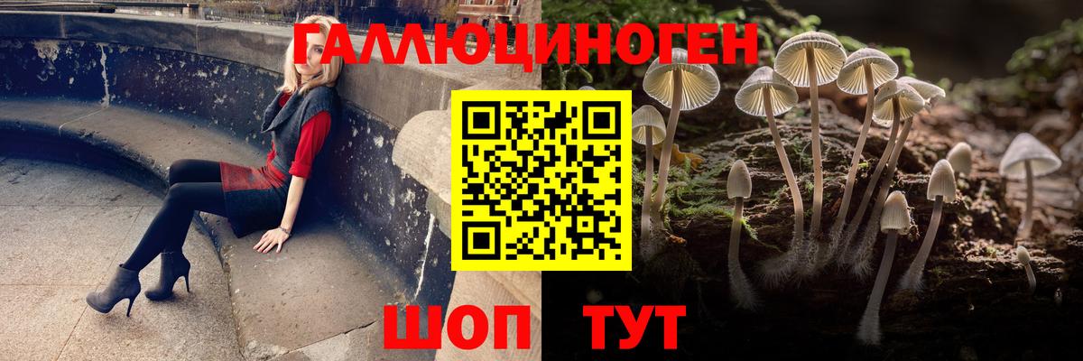 Галлюциногенные грибы прущие грибы Зеленогорск